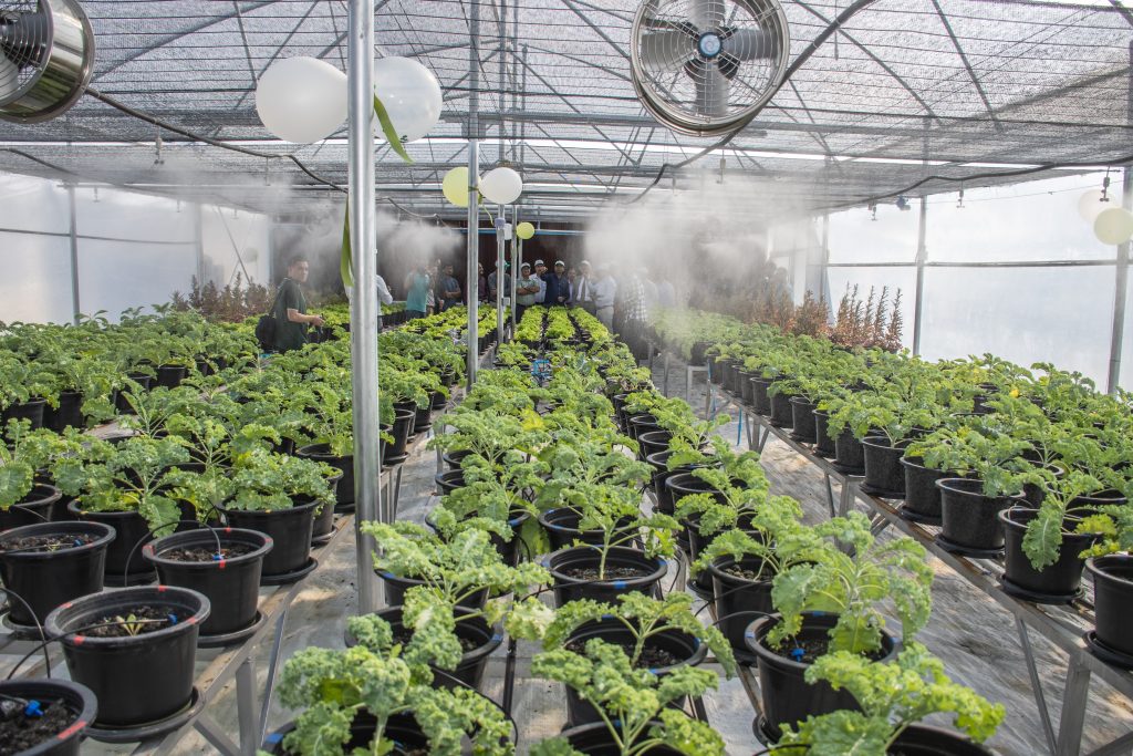 Soil & crop intelligence